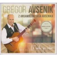 Gregor Avsenik: Morda pa nekoč, narodnozabavna glasba
