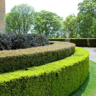 Foto: www.nationaltrust.org.uk.