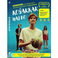 Košarkar naj bo, slovenski mladinski film