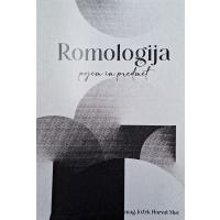 Romologija: pojem in predmet - Materialna in duhovna kultura Romov